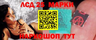 mdpv Новодвинск